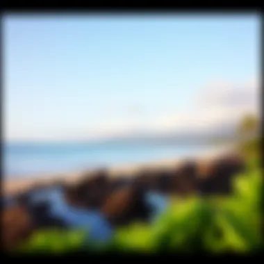 A scenic view of the peaceful shores at Hanalei Bay