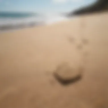 Close-up of sand with ocean waves in the background