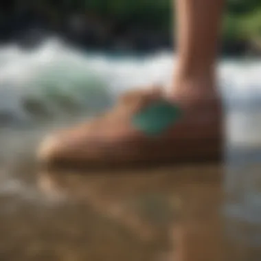 Nature's Influence on Cariuma Design Nature-inspired design elements of Cariuma shoes