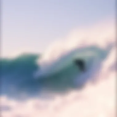 Dynamic carving technique in surfing