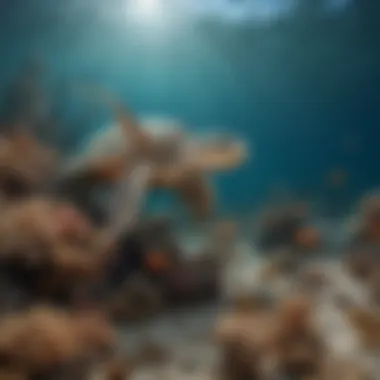 The Revival of Marine Life through Restoration Efforts Thriving marine life in a restored ocean environment