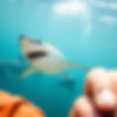 A majestic great white shark gliding through crystal clear waters.