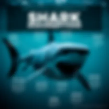 An informative infographic illustrating common misconceptions about sharks and their true behaviors.