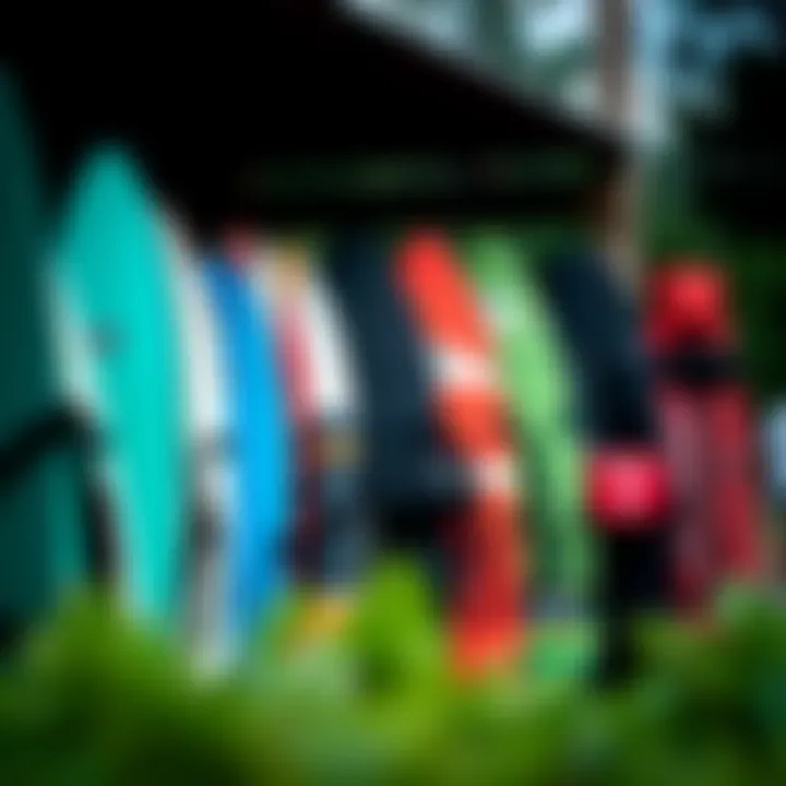 Diverse Surfboard Bag Styles Various types of surfboard bags lined up