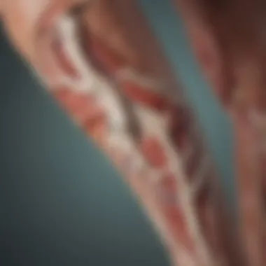 Understanding Calf Muscle Anatomy Illustration of calf muscle anatomy highlighting cramp-prone areas