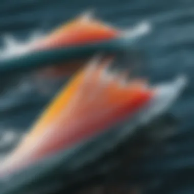 Detailed Look at FCS Side Bites Fins Close-up of FCS side bites fins showcasing design and features