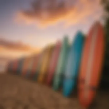 Colorful surfboards lined up on the beach at sunset