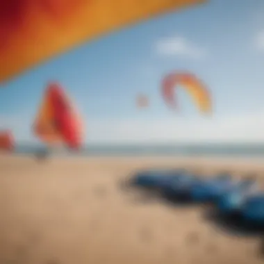 A group of inflatable kites on a beach ready for use