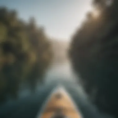 Paddleboarder enjoying a serene experience powered by a motor