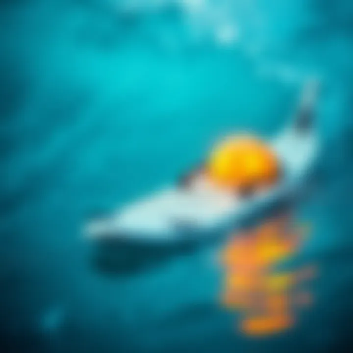 Technology Behind Shark Deterrent Surfboards Technology behind shark deterrent surfboards