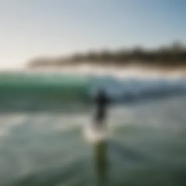 A group of surfers of various skill levels enjoying the waves together.