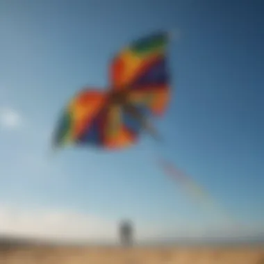 Artistic representation of cultural significance of kites
