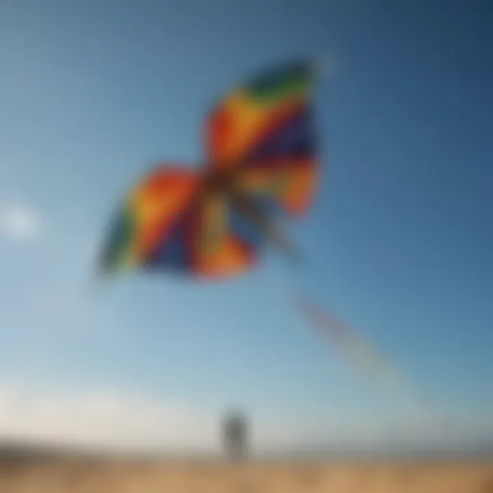 Artistic representation of cultural significance of kites