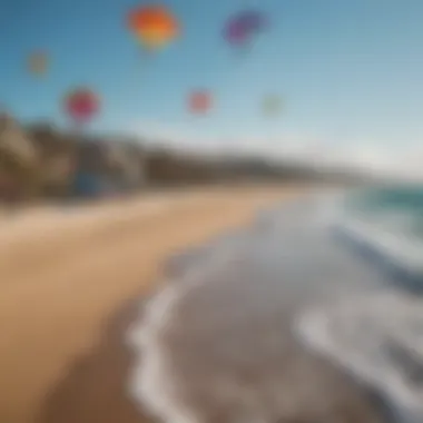 Group of kites in various designs flying at a beach