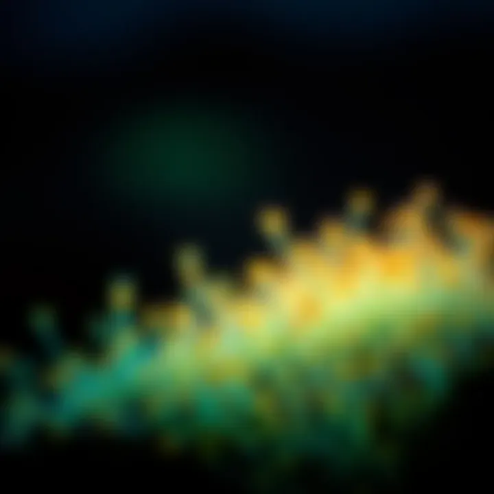 Close-up of bioluminescent phytoplankton