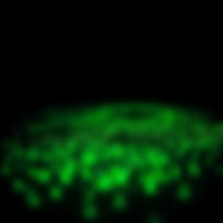 Phytoplankton glowing in dark waters