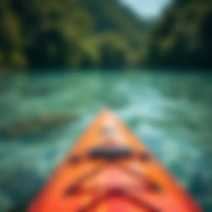 An intricate close-up of a paddleboard gliding over crystal-clear water surrounded by lush greenery