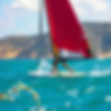 A serene coastal environment highlighting the ecological aspects of sailboarding