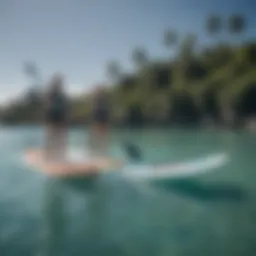 A paddle board equipped with a sleek jet motor gliding over crystal clear waters.