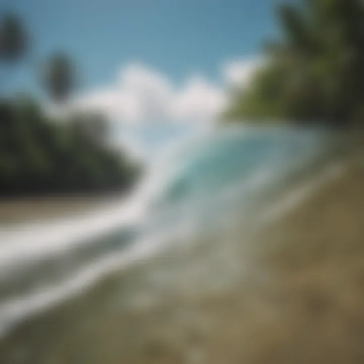 Sustainability in Panama's Surf Tourism Sustainable practices in surf tourism in Panama