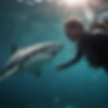 Diving into Shark Research A diver conducting research on shark populations