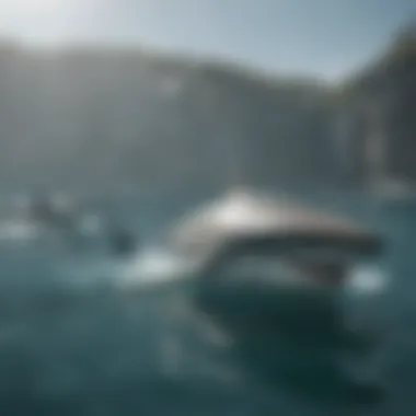 Sharks in Their Natural Habitat Sharks swimming freely in the ocean