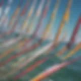 Diverse windsurfing sails displayed in a vibrant array of colors