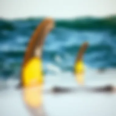 Thruster fins in action on a surfboard demonstrating their impact on maneuverability