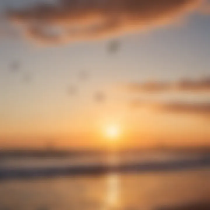 Group of kite surfers enjoying a vibrant sunset while using 12m kites