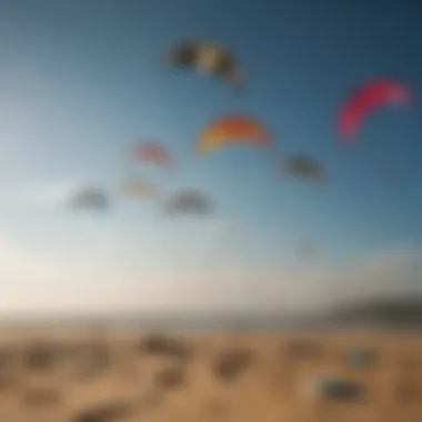 Diverse types of kites laid out on a surface