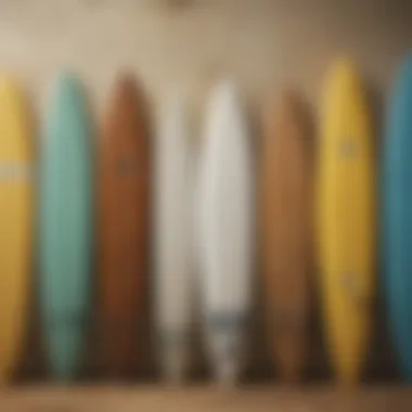 An illustration depicting various surfboard types and their uses