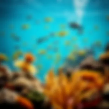 Biodiversity Beneath the Waves Underwater scene teeming with diverse marine life