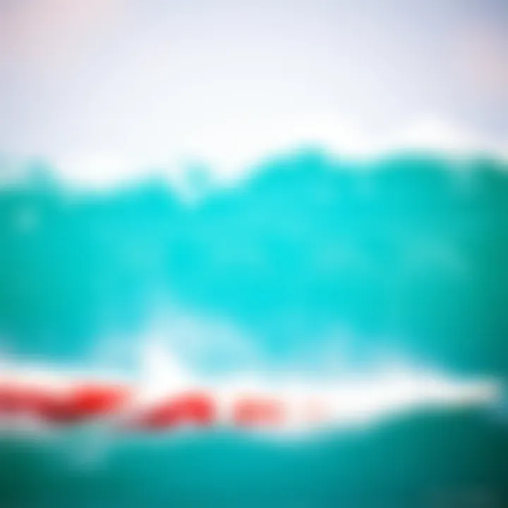 A graphic showcasing ideal rider attributes for selecting skimboard size