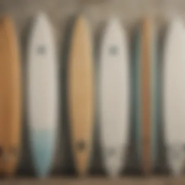 An infographic illustrating the different surfboard designs suited for beginners.