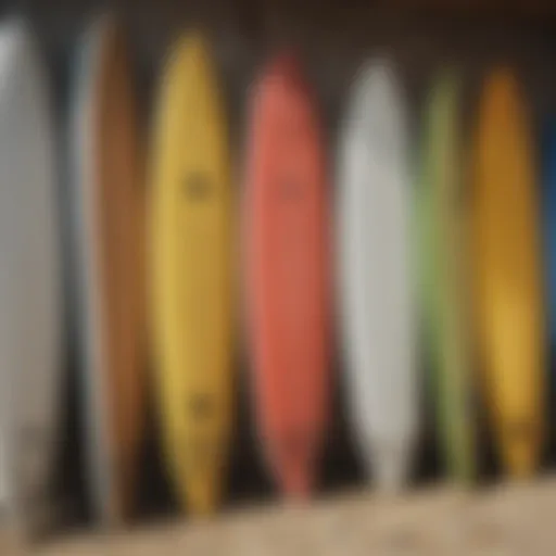 A variety of surfboards on display, showcasing different shapes and sizes.