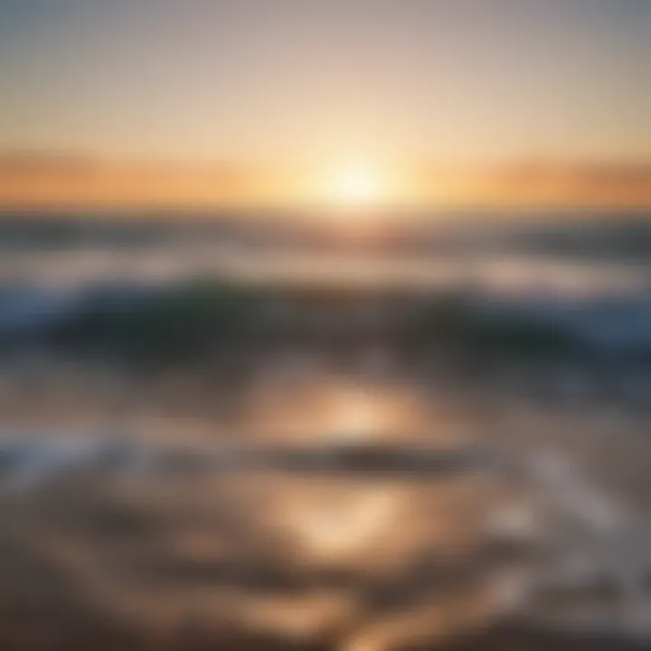 A serene ocean horizon at sunset, symbolizing the interconnectedness of ecosystems.