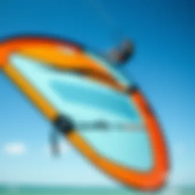 Artistry in Kite Design A close-up of a well-designed kite showcasing craftsmanship