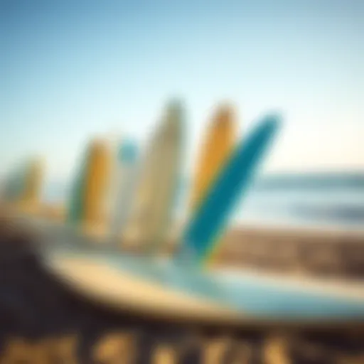 Surfboards at La Pointe Surf Camp Surfboards lined up on the beach at La Pointe Surf Camp