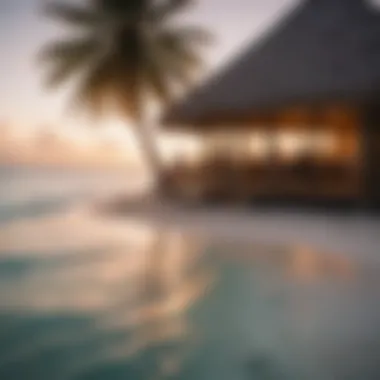 Vibrant Beachside Experience at Lohifushi Guests enjoying a vibrant beachside gathering at the resort