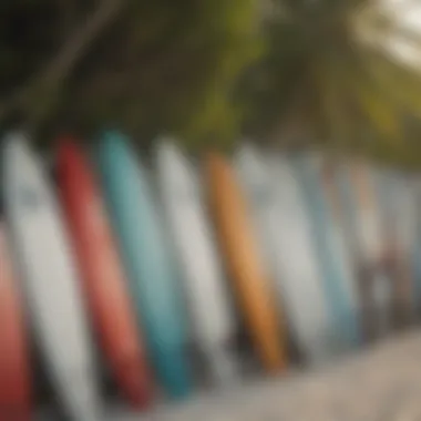 Surfboards lined up at the Lohifushi Surf Resort ready for use