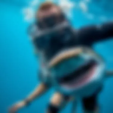 A conservationist diving with sharks, emphasizing the importance of marine protection and awareness.