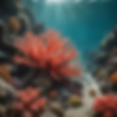 Impact of Pollution on Marine Biodiversity A vibrant coral reef affected by marine pollution