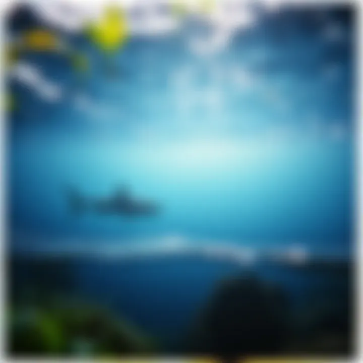 A serene ocean scene depicting the beauty and tranquility of the marine environment.