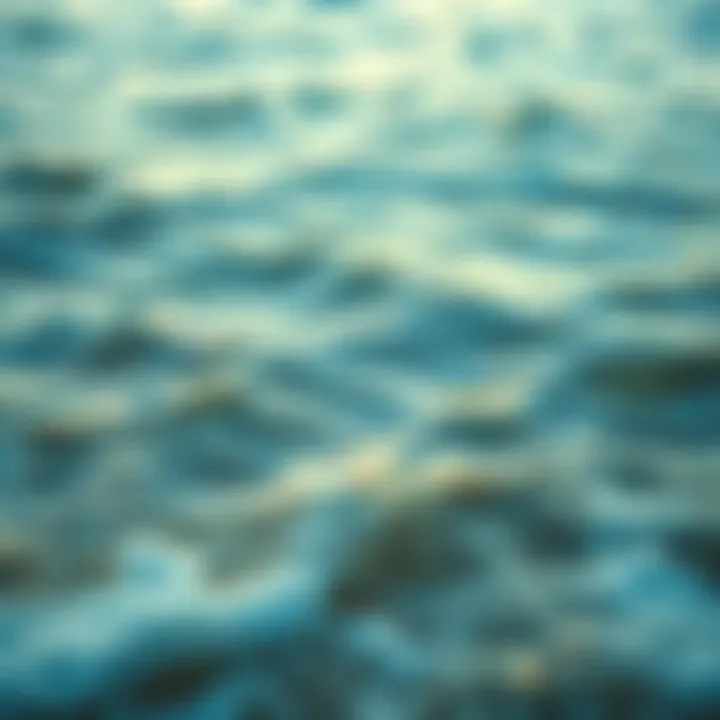 The Soothing Rhythm of Ocean Waves Gentle ocean waves lapping at the shore