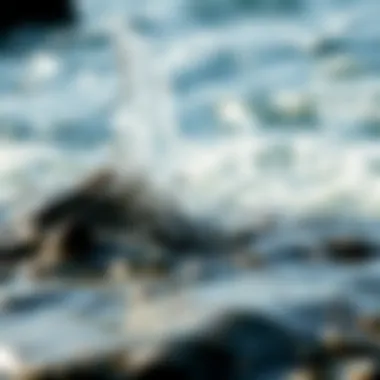 The Calming Splash of Seawater Close-up of seawater splashing on rocks