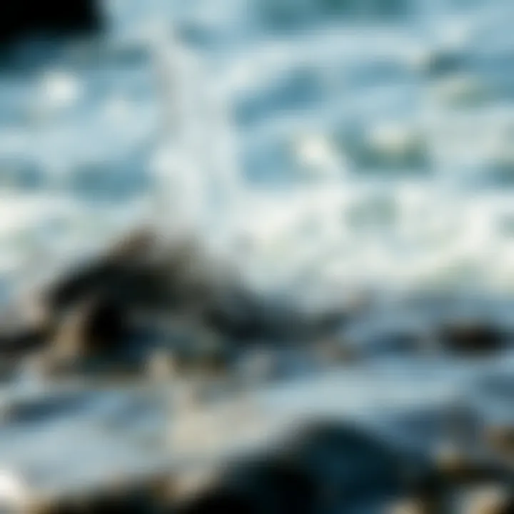 The Calming Splash of Seawater Close-up of seawater splashing on rocks