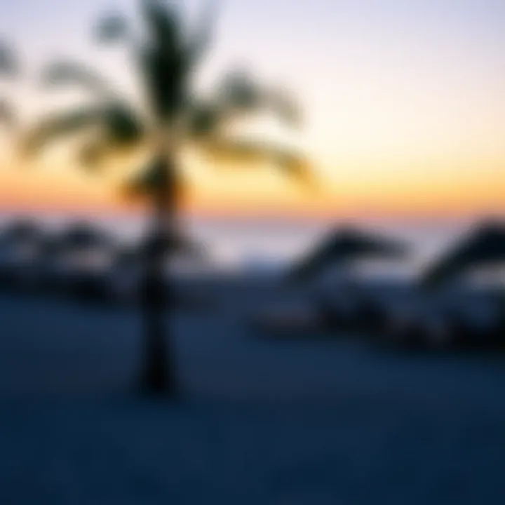 A Serene Beach at Dusk Tranquil beach scene at sunset