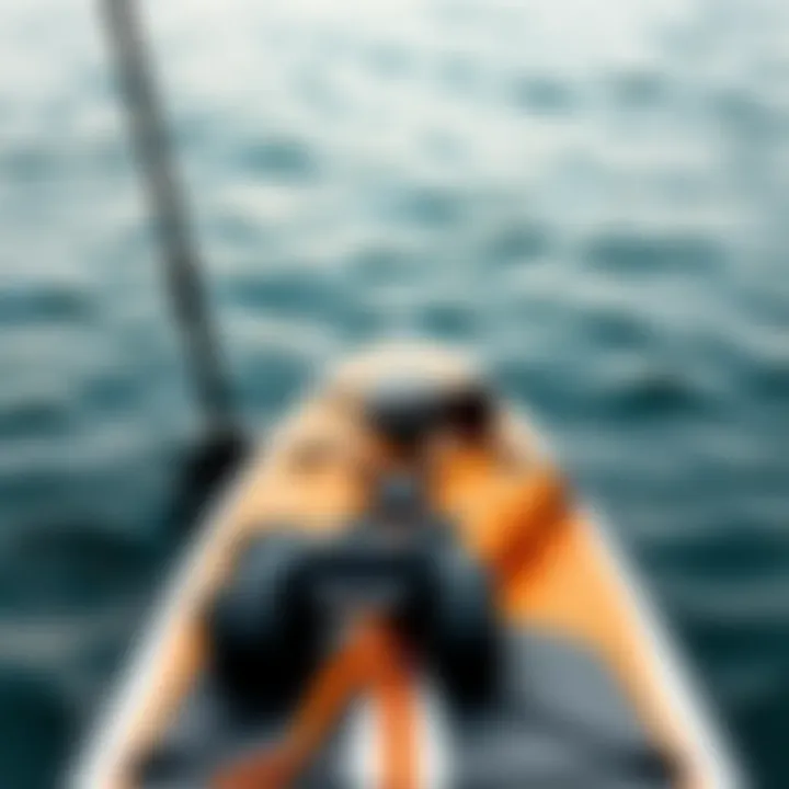 Essential Gear for Paddle Boarding Paddle board accessories and gear layout