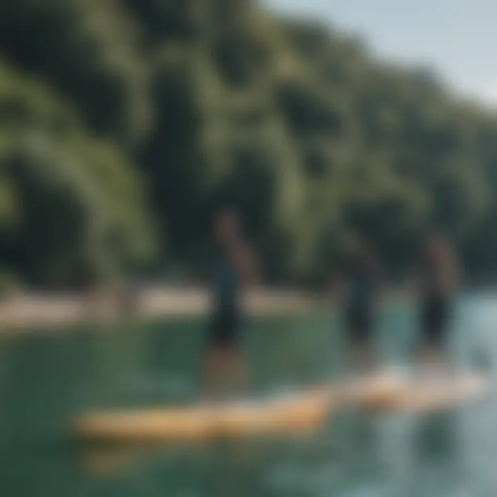 A group of enthusiasts participating in a paddleboarding event