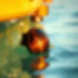 Close-up view of Prizm Bronze lenses reflecting sunlight on water